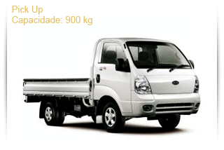 Pick Up 900 Kg